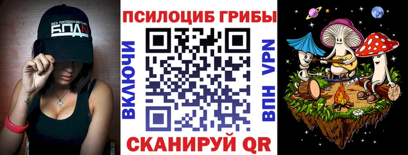 Галлюциногенные грибы Psilocybine cubensis Никольское